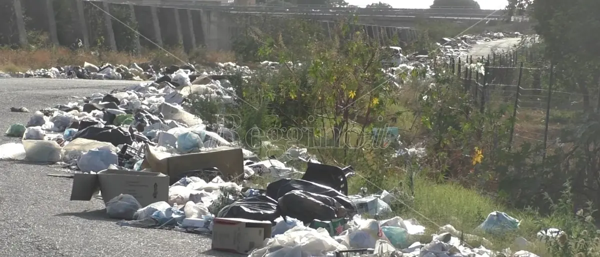 Reggio, a Mortara residenti indignati: «Non vogliamo più vivere tra i rifiuti, le istituzioni intervengano» - FOTOGALLERY e VIDEO