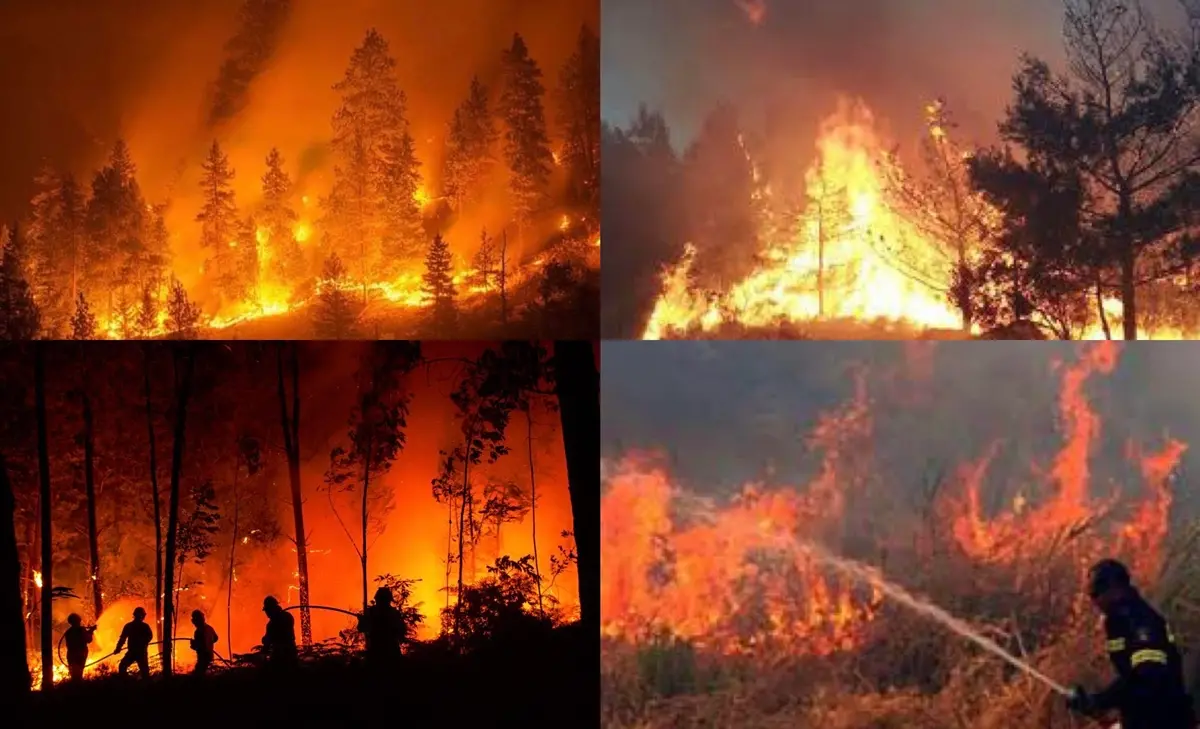 Incendi, Pd Calabria: «Il presidente Occhiuto prenda atto del fallimento della gestione dell'emergenza»
