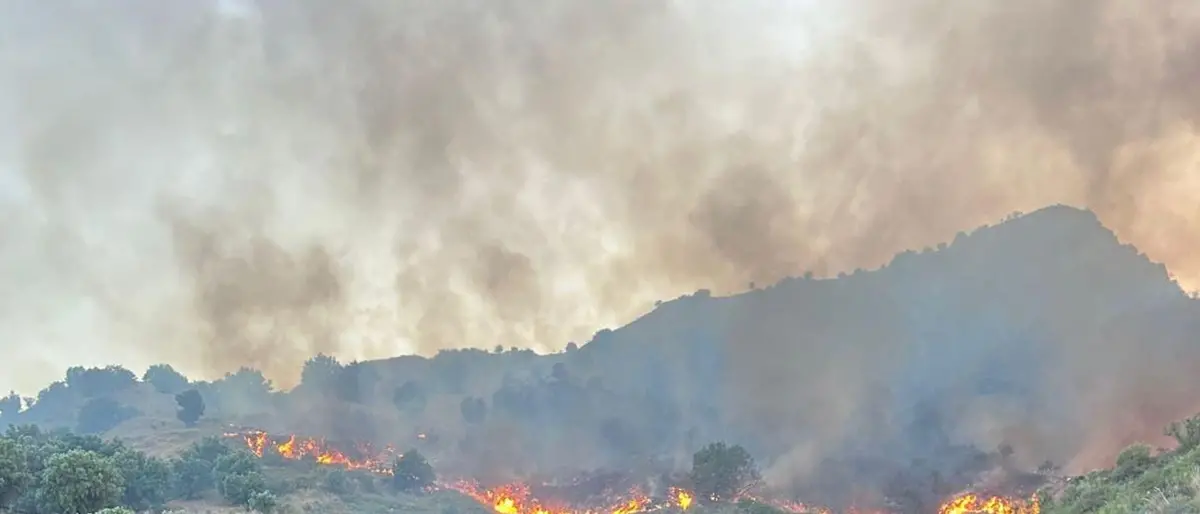 Incendi area Grecanica, bruciano le colline a Chorio
