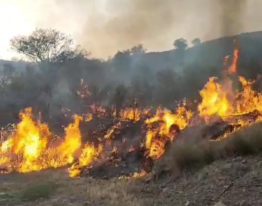 Tra le montagne di Motta stanotte si combattere per salvare l'Aspromonte