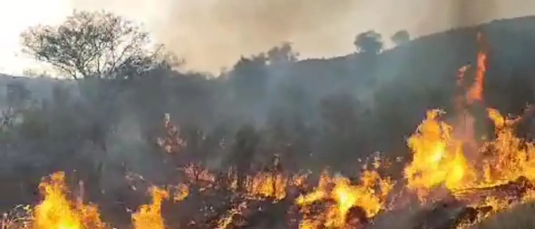Tra le montagne di Motta stanotte si combattere per salvare l'Aspromonte