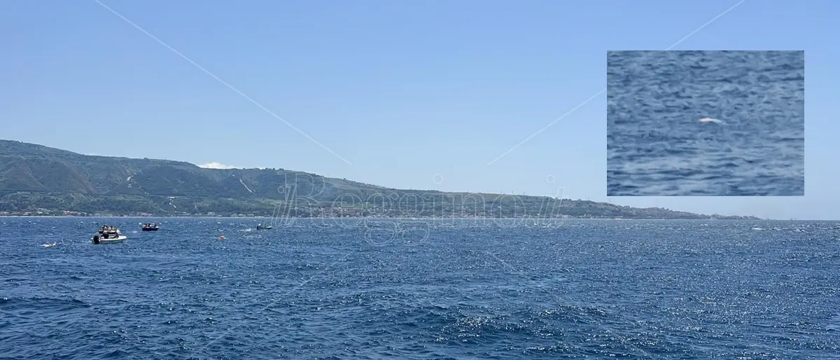 Stretto di Messina, traffico bloccato per avvistamento uomo morto in mare - VIDEO