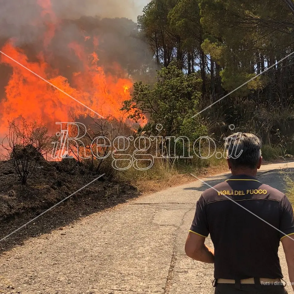 Incendi a Reggio, i dati raccontano l'estate peggiore di sempre: 9.000 ettari di terra bruciati