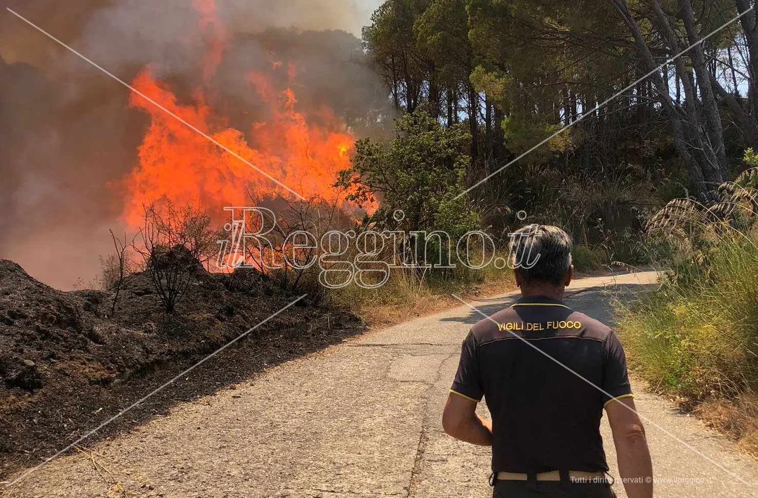 Incendi a Reggio, i dati raccontano l'estate peggiore di sempre: 9.000 ettari di terra bruciati