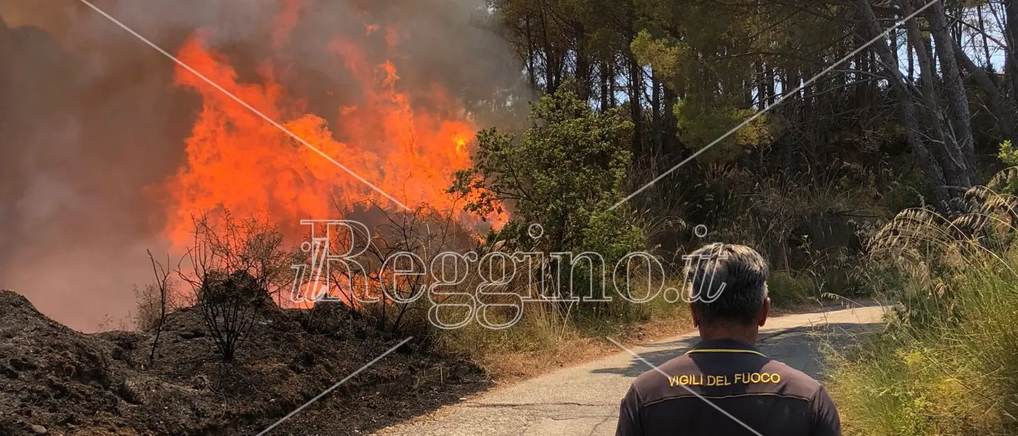 Incendi a Reggio, i dati raccontano l'estate peggiore di sempre: 9.000 ettari di terra bruciati
