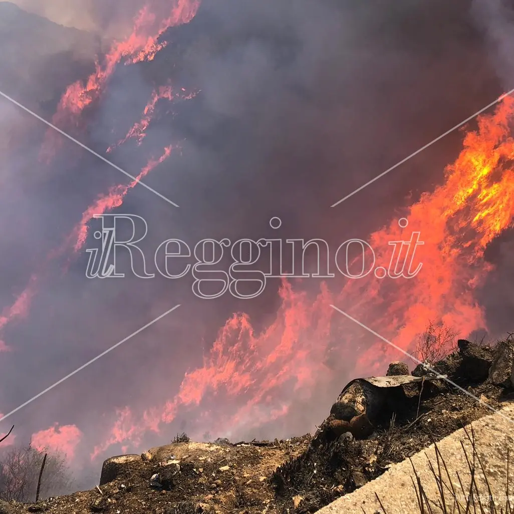 Reggio nella morsa delle fiamme, Fraschini: «Vigili del fuoco allo stremo»