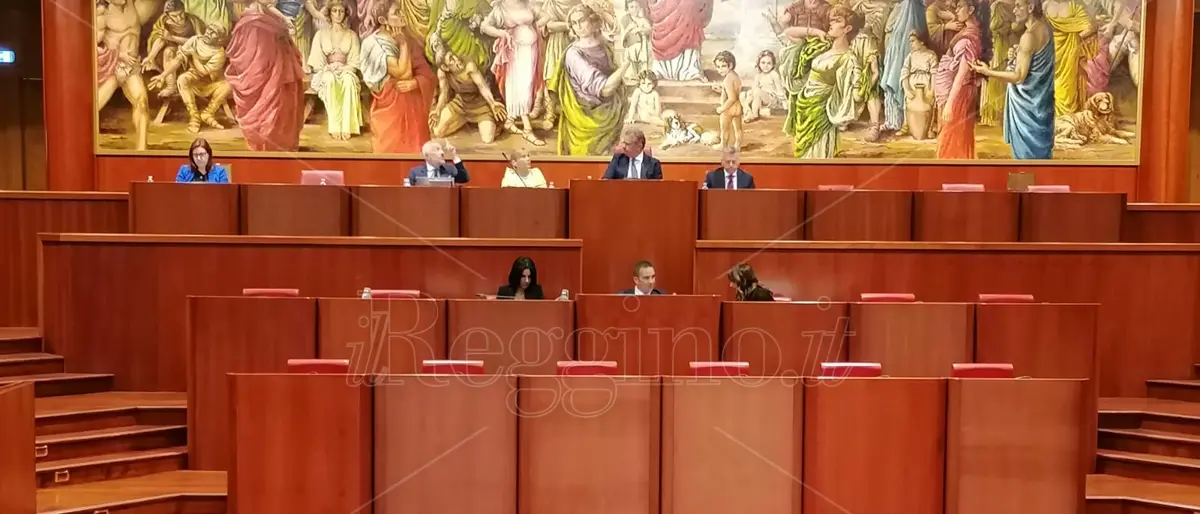 Consorzi di bonifica in Calabria, gruppo del Pd: «La fiducia sulla riforma ha regalato l’ennesima pagina buia»