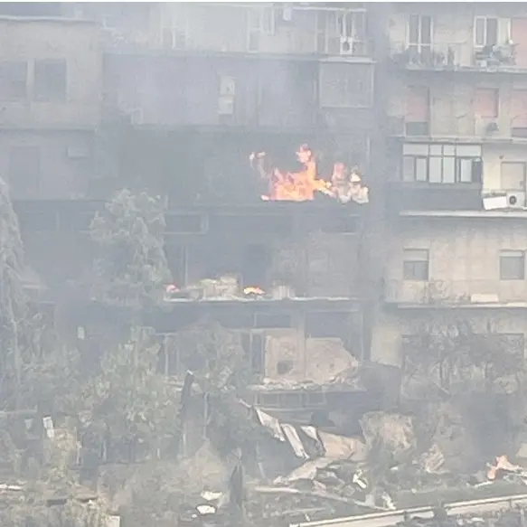 Emergenza incendi a Reggio Calabria, Caridi (FI): «A rischio l'incolumità delle persone»
