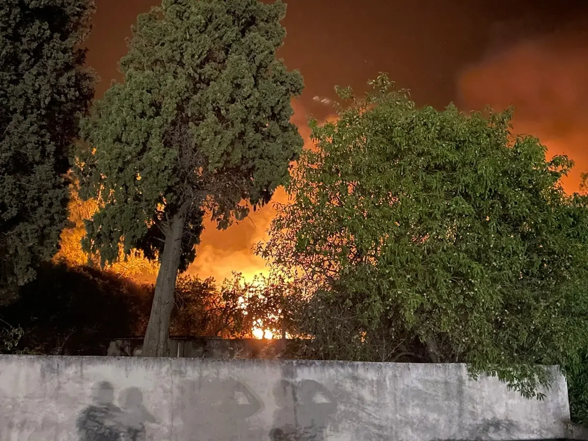Incendi a Mosorrofa, Comitato di Quartiere: «Ritardi ed inadepienze, il 2 agosto una manifestazione in piazza»