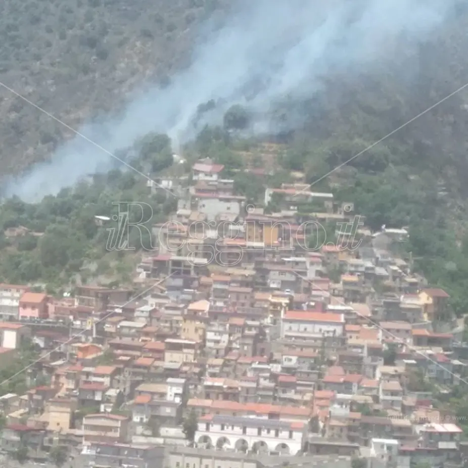 Incendi a Reggio, un uomo perde la vita a Cardeto probabilmente spegnendo un rogo - IN AGGIORNAMENTO
