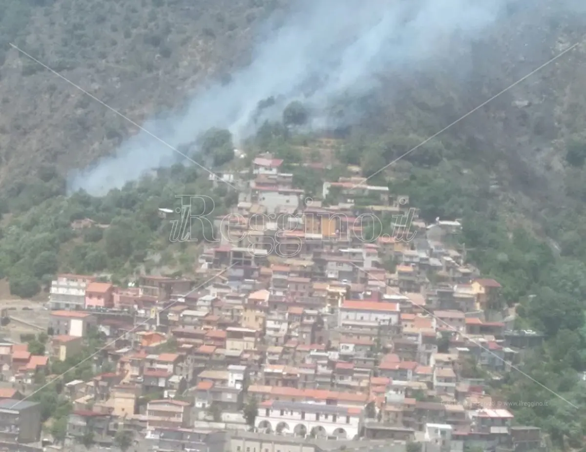 Incendi a Reggio, un uomo perde la vita a Cardeto probabilmente spegnendo un rogo - IN AGGIORNAMENTO