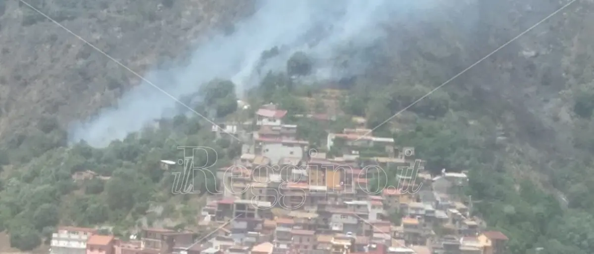 Incendi a Reggio, un uomo perde la vita a Cardeto probabilmente spegnendo un rogo - IN AGGIORNAMENTO