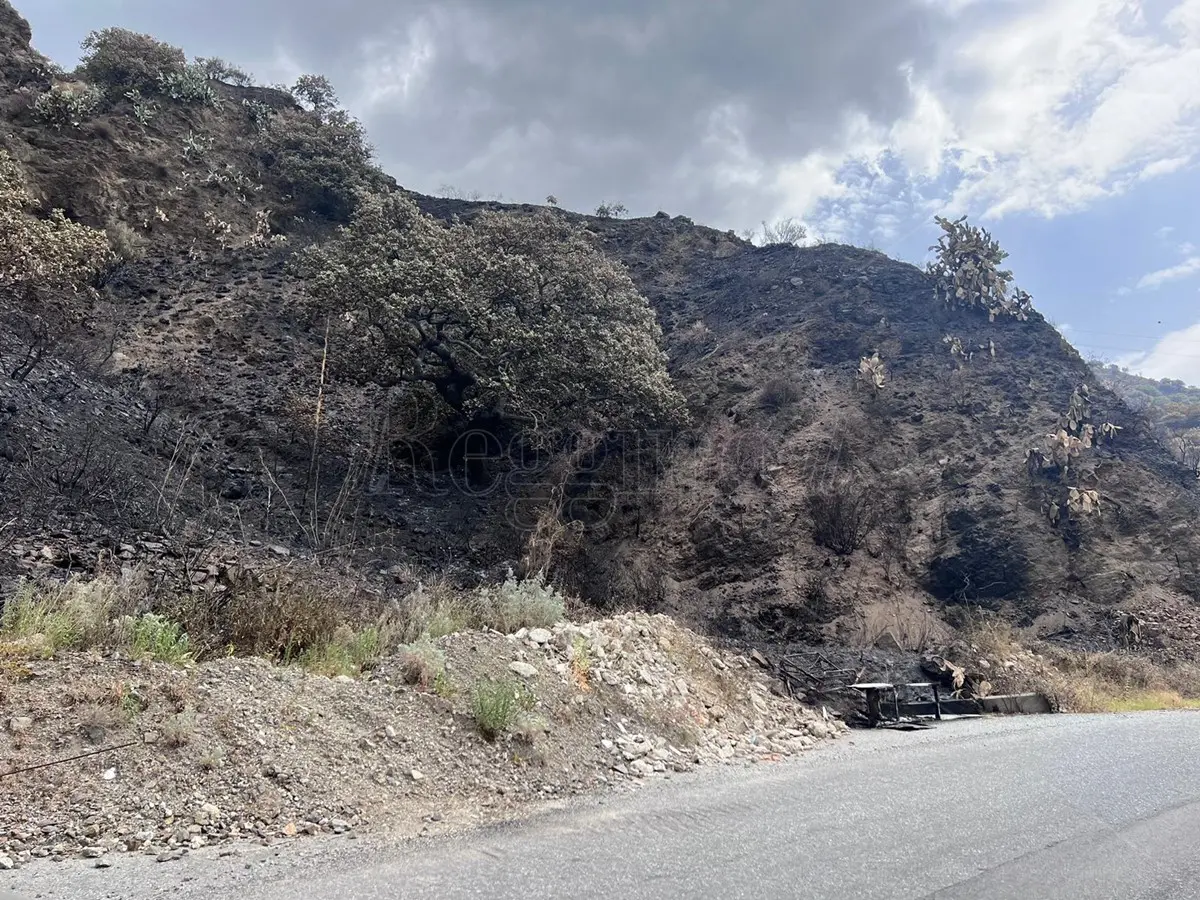 Fuoco uccide un uomo a Cardeto, il sindaco Arfuso: «Siamo addolorati ed esausti, mezzi di soccorso insufficienti»