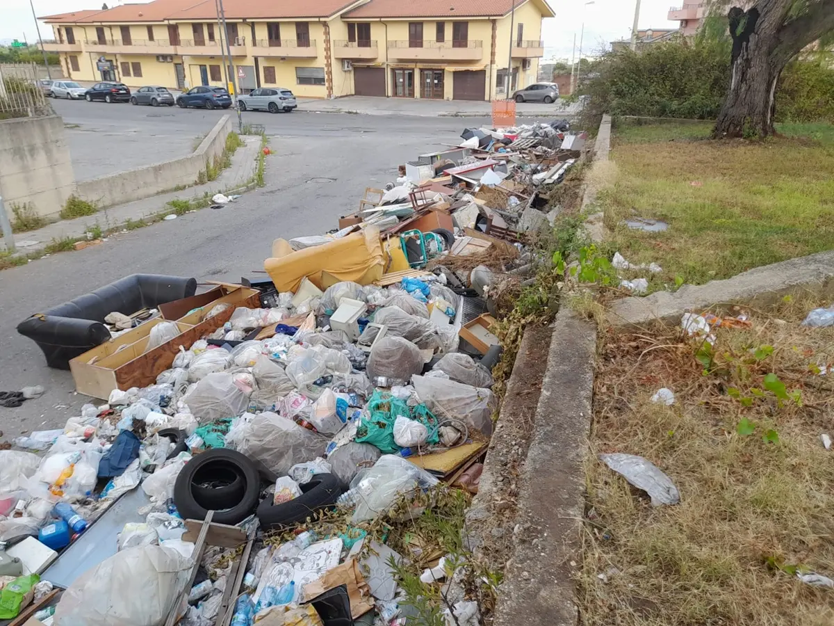 Rifiuti a Reggio, Castorina: «Non si perda altro tempo, necessario intervento inter-force»