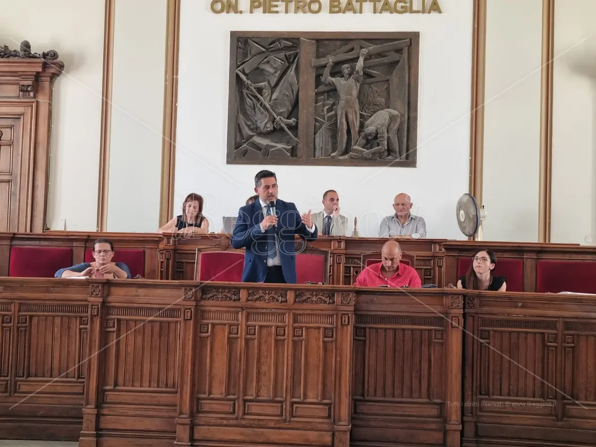 Incendi a Reggio, Brunetti: «Dieci fronti di fuoco che hanno circondato la città non possono essere un caso» - VIDEO