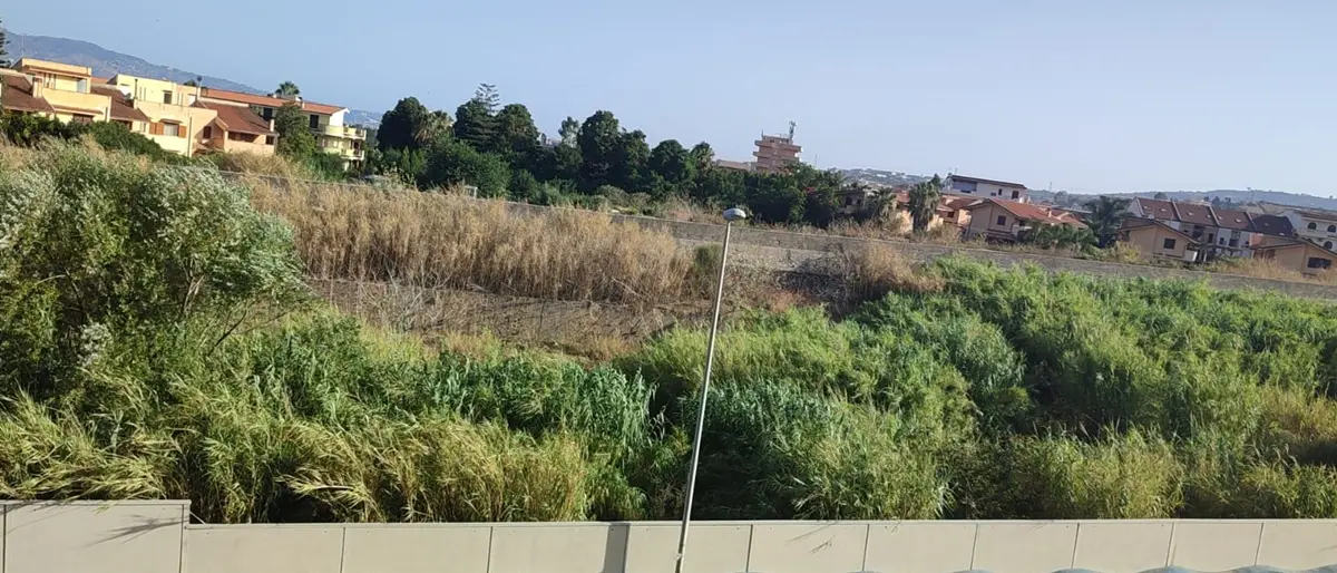 Reggio, la denuncia: «Torrente Gallico in stato di abbandono a tre anni»