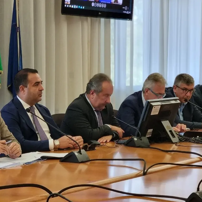 Peste suina in Calabria, Cannizzaro: «Emergenza affrontata coinvolgendo il territorio»