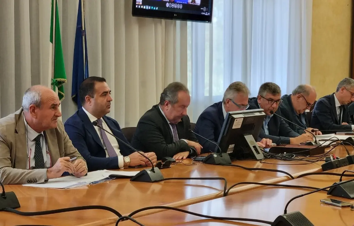 Peste suina in Calabria, Cannizzaro: «Emergenza affrontata coinvolgendo il territorio»