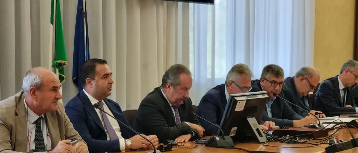 Peste suina in Calabria, Cannizzaro: «Emergenza affrontata coinvolgendo il territorio»