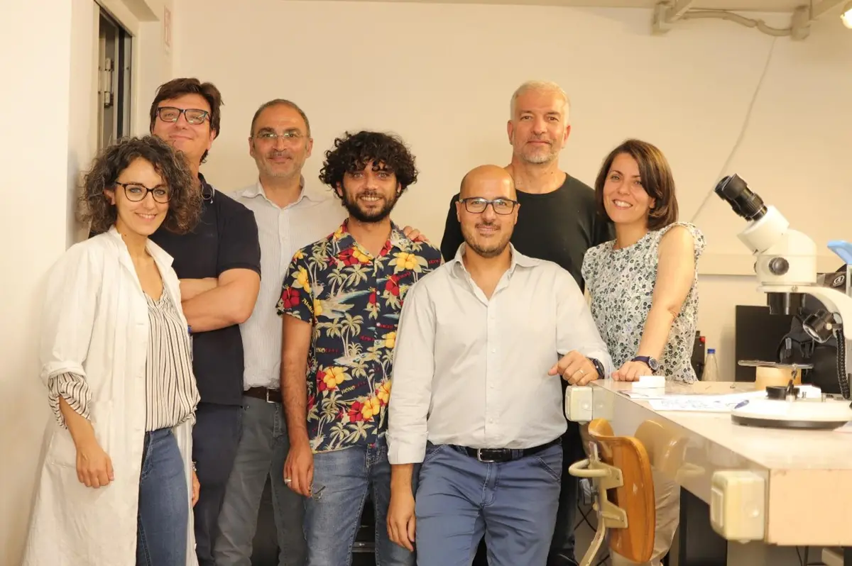 Museo di Reggio, prosegue lo “Studio archeometrico di gioielli antichi”