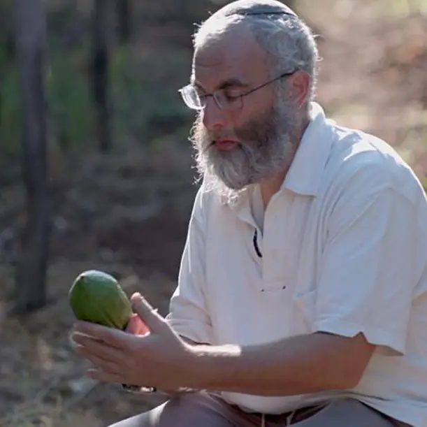 Il cedro di Calabria protagonista del film \"Haddar. Il frutto di Dio\"