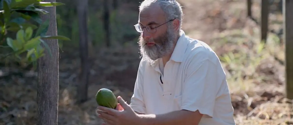 Il cedro di Calabria protagonista del film \"Haddar. Il frutto di Dio\"
