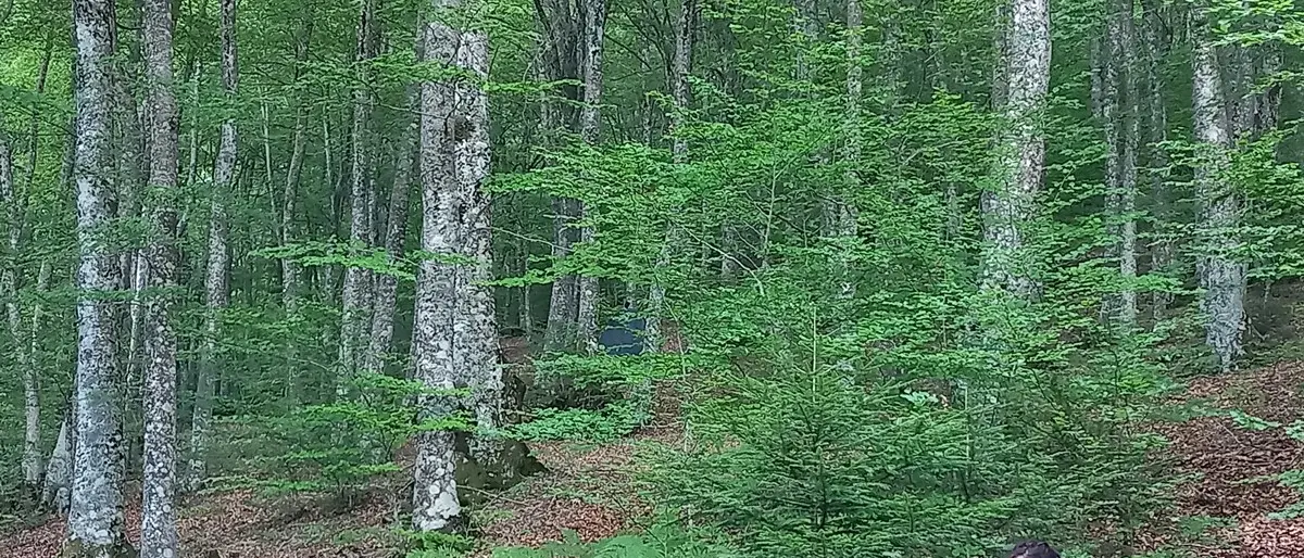 Gambarie, per \"Face Festival\" reading conclusivo di un workshop teatrale