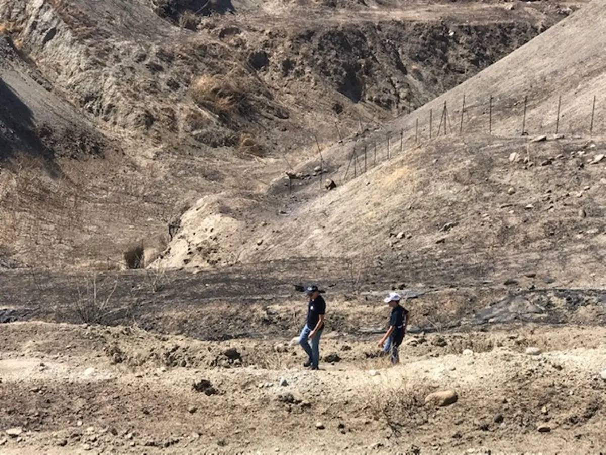 Motta San Giovanni, Verduci su ex discarica: «Dopo incendi Arpacal ha certificato l'assenza di conseguenze per la salute»