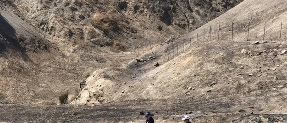 Motta San Giovanni, Verduci su ex discarica: «Dopo incendi Arpacal ha certificato l'assenza di conseguenze per la salute»