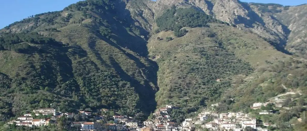 Condofuri, auto si ribalta fuori strada sulla provinciale: un morto