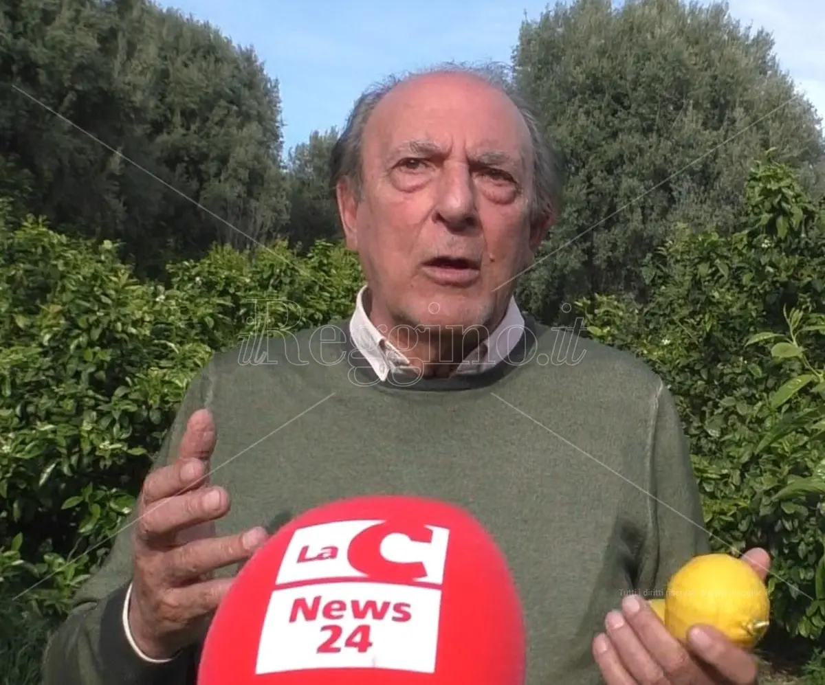 Reggio, Pizzi: «In una terra di divisioni, il bergamotto ci unisce»