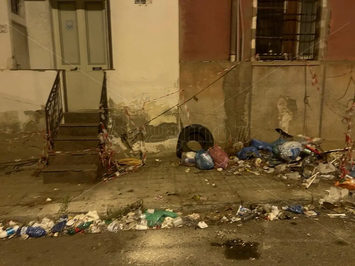 Reggio, degrado in centro: colonia di topi che si nutre dei rifiuti – FOTO E VIDEO