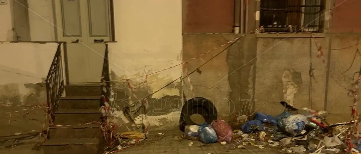 Reggio, degrado in centro: colonia di topi che si nutre dei rifiuti – FOTO E VIDEO
