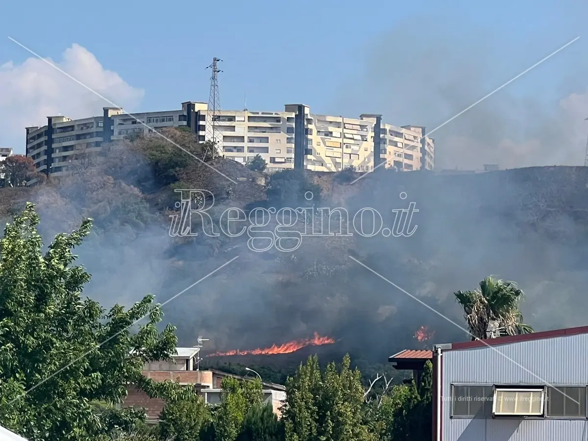 Da Arghillà fino a Bocale, sono una decina gli incendi nel Reggino