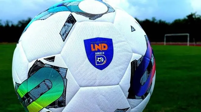 Reggina, la Serie D ufficializza i gironi. Ecco come potrebbe essere quello amaranto