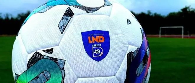 Reggina, la Serie D ufficializza i gironi. Ecco come potrebbe essere quello amaranto