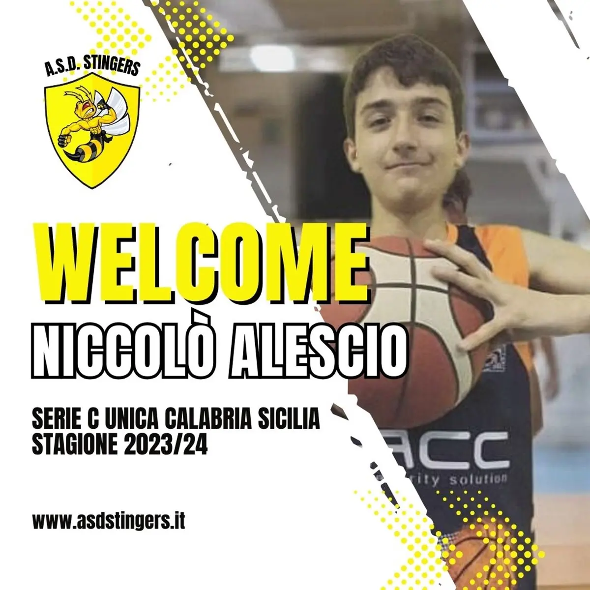 Basket, alla Stingers arriva il giovane Niccolò Alescio