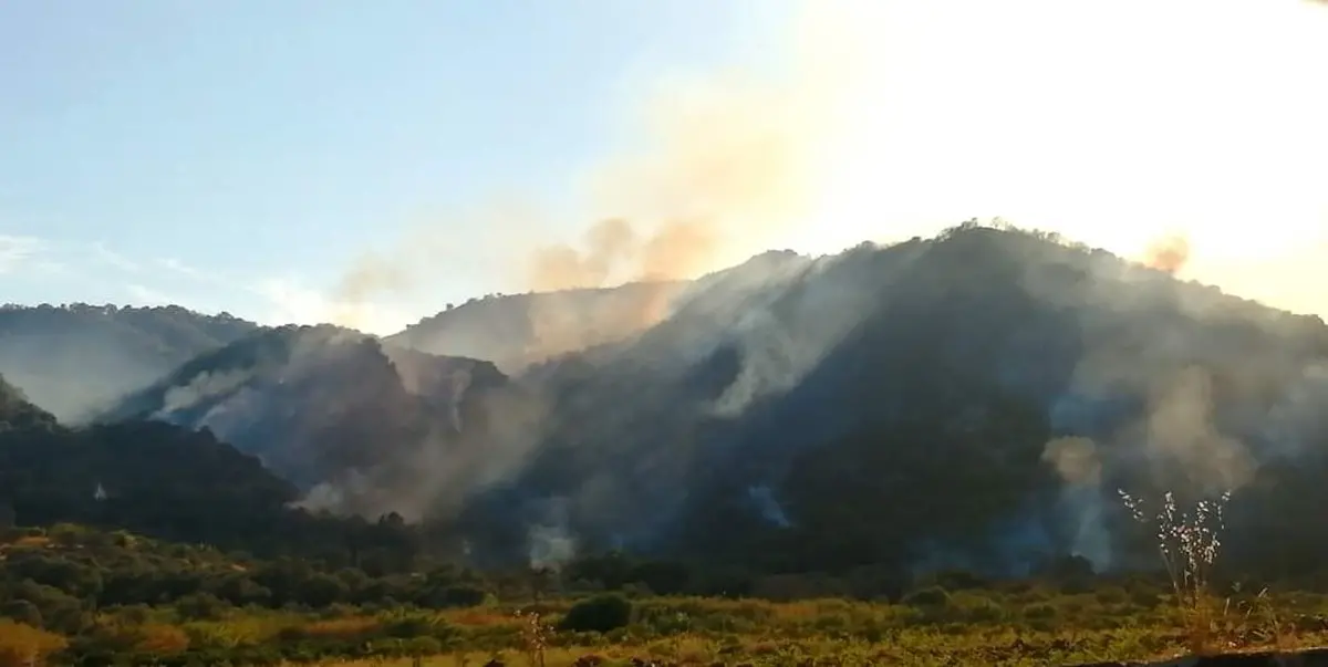 Brancaleone, spento l'incendio alle spalle del Parco Archeologico