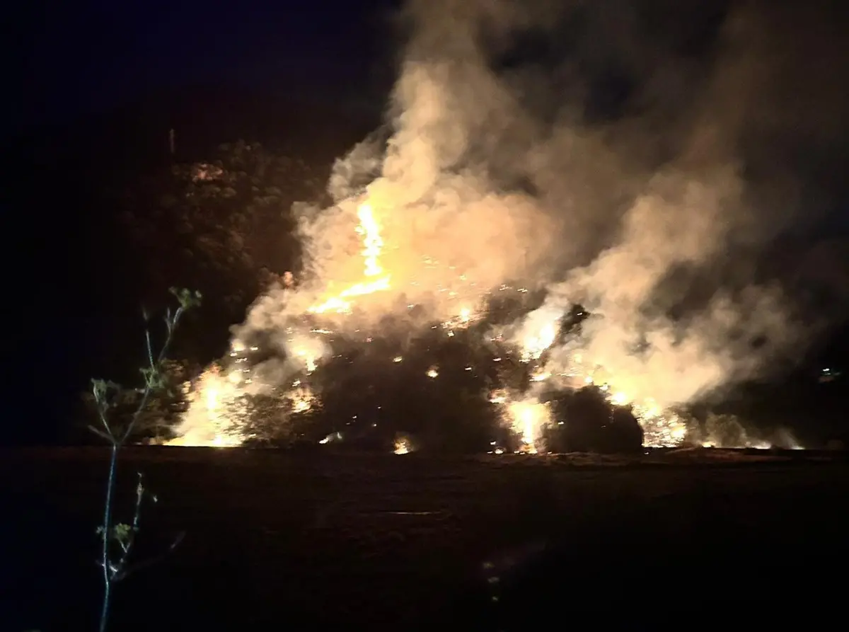 Condofuri, incendio nella notte devasta la Valle dell'Amendolea