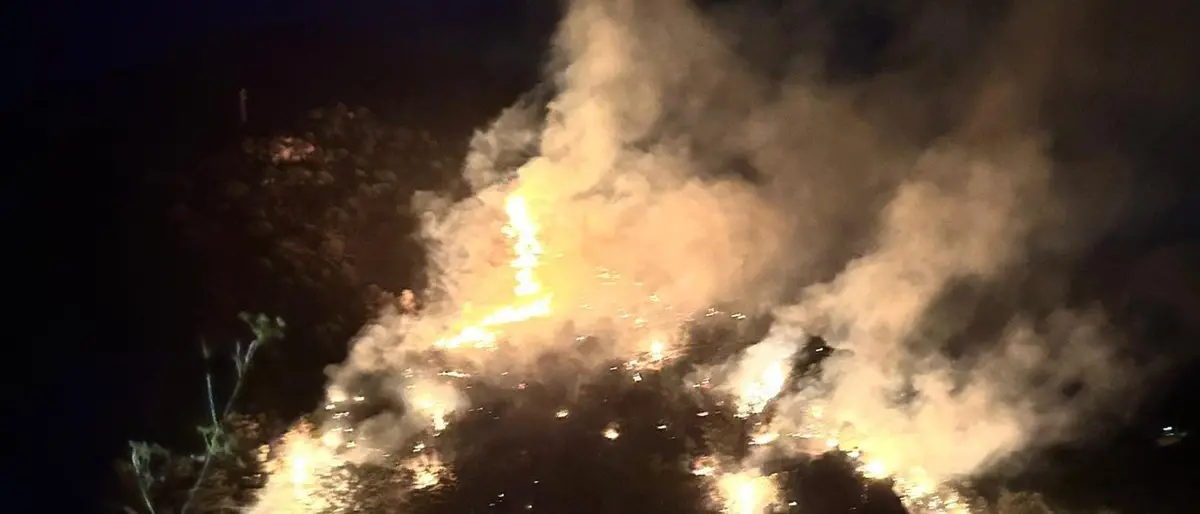 Condofuri, incendio nella notte devasta la Valle dell'Amendolea