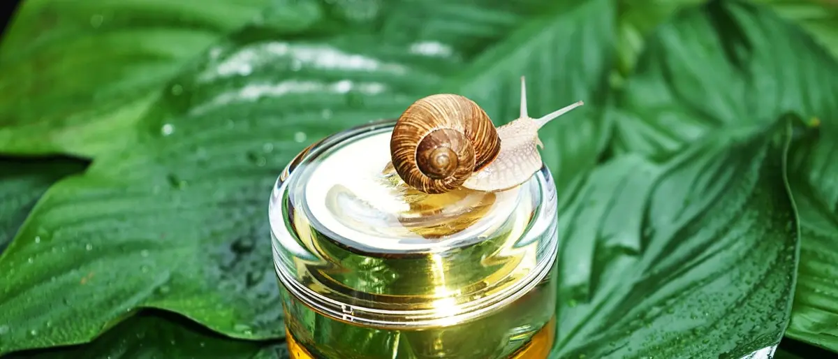 STILI &TENDENZE | Biocosmesi: bava di lumaca Mulìa, dalla natura bellezza per viso e corpo