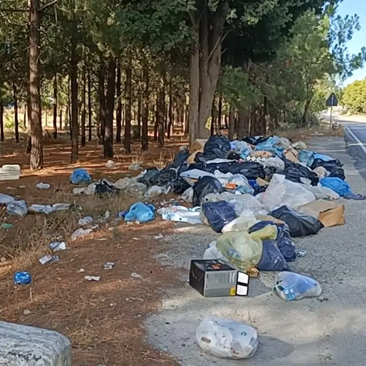 Palizzi, una discarica abusiva ai piedi dei Calanchi