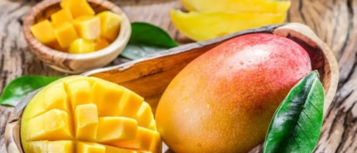 DE GUSTIBUS| Dalle coste soleggiate del Mar Mediterraneo: il mango
