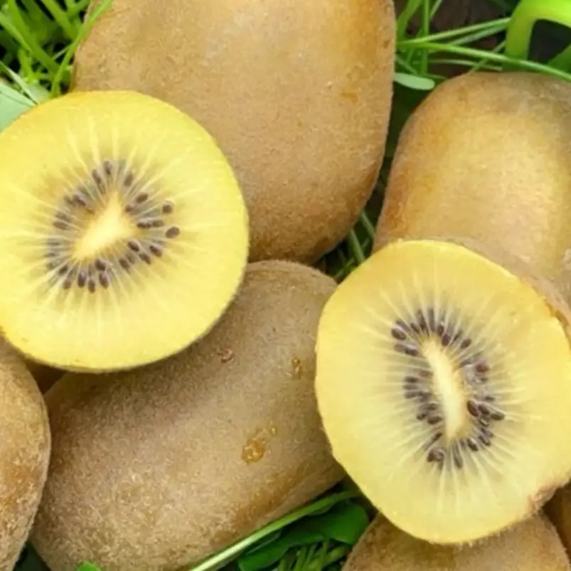 De Gustibus | Kiwi gold: il giallo made in Calabria