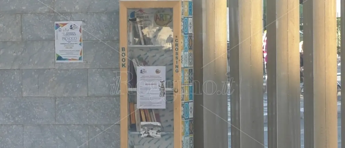 Da mobili in discarica a casette per i libri donate alla comunità: la pro loco Reggio Sud dà nuova vita agli scarti - VIDEO