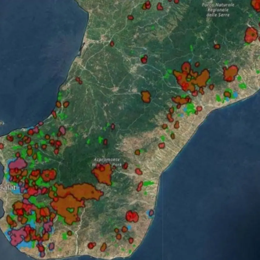 Metrocity Reggio, Legambiente: «Incendi e pascolo abusivo erodono paesaggio e biodiversità»