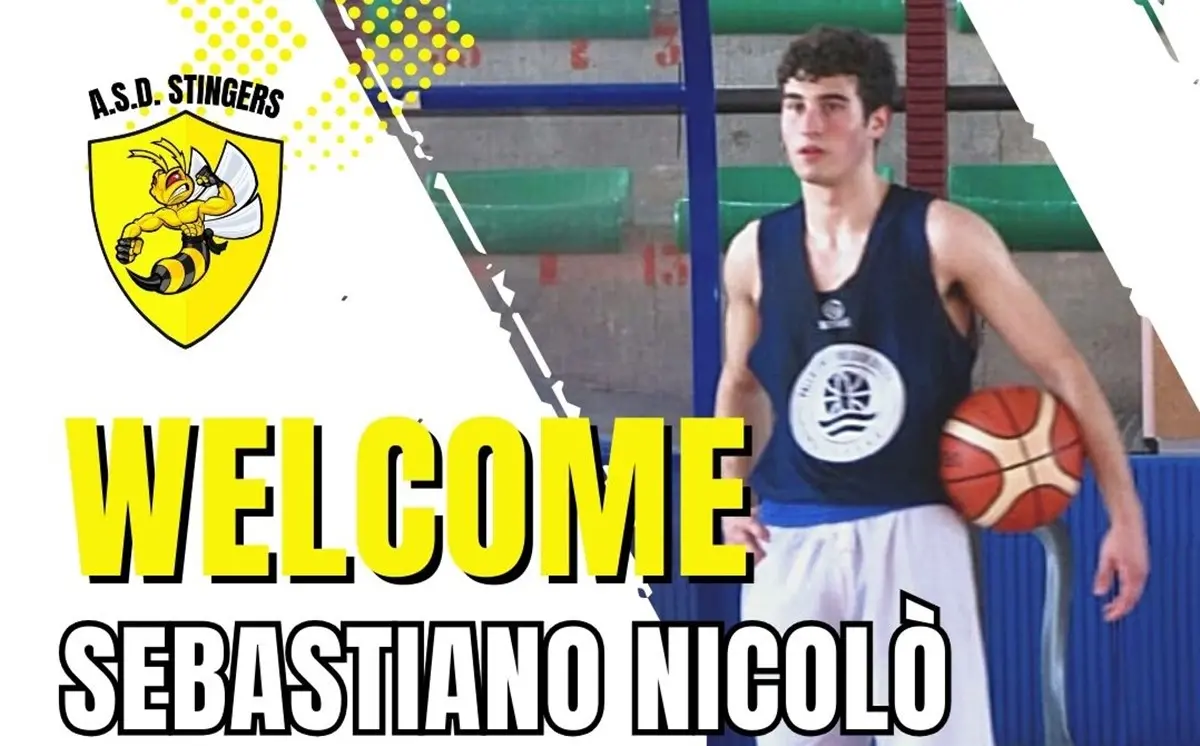 Basket, Sebastiano Nicolò ennesimo arrivo in casa Stingers