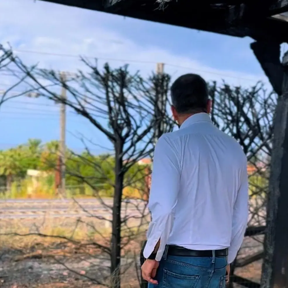 Incendio nella proprietà di Occhiuto, la solidarietà del mondo politico istituzionale