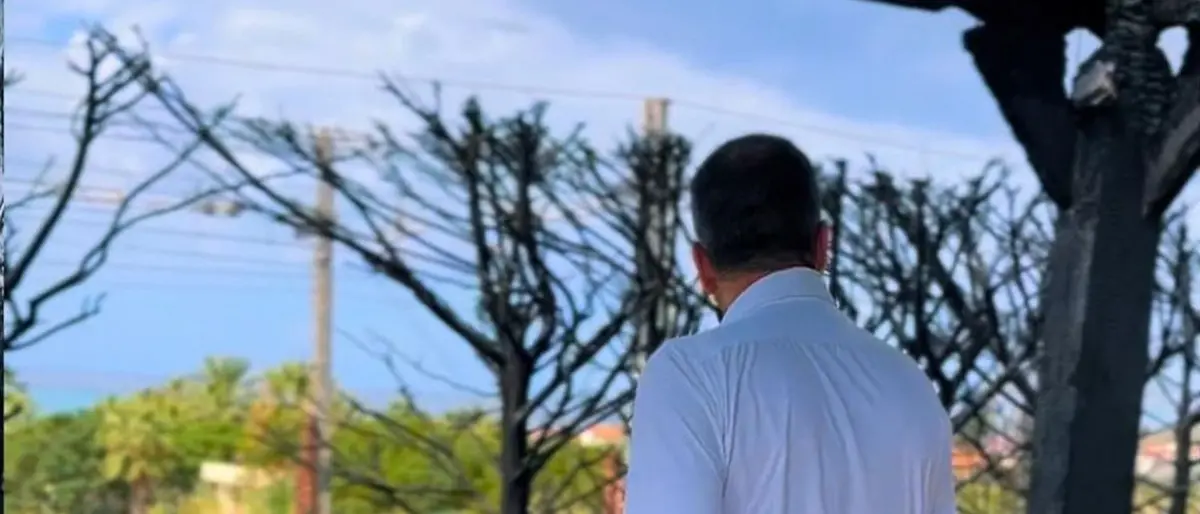 Incendio nella proprietà di Occhiuto, la solidarietà del mondo politico istituzionale