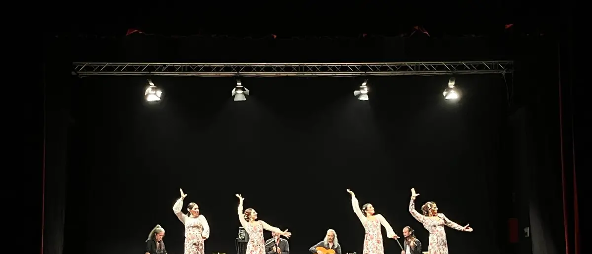 Palmi, la compagnia Flamenco Nuevo accende il teatro Manfroce